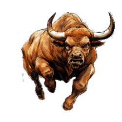 Bull Market